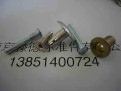 鉚釘/半空心鉚釘