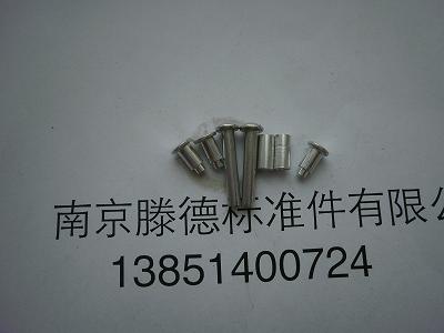 臺階鉚釘
